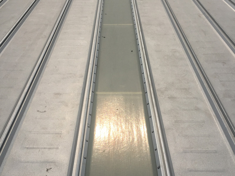 �W�ܹ��̰����� 50 ��