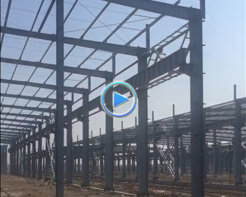 �W�ܹ��̰����� 55 ��